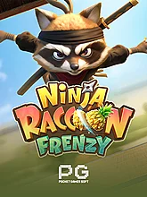 Ninja Racoon Frenzy